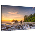 Olympic National Park Coastal Wall Art Sunset Ruby Beach Wall Decor Nature Driftwood Scenic Canvas Pictures Rialto Beach Landscape Photo Prints Artwork for Living Room Office Home Decoration 20x30"
