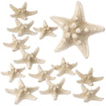 PPCLION 12 PCS Natural Starfish 3-4" for Crafts Making Beach Theme Party Wedding Decoration Home Wall Decor Christmas Ornaments