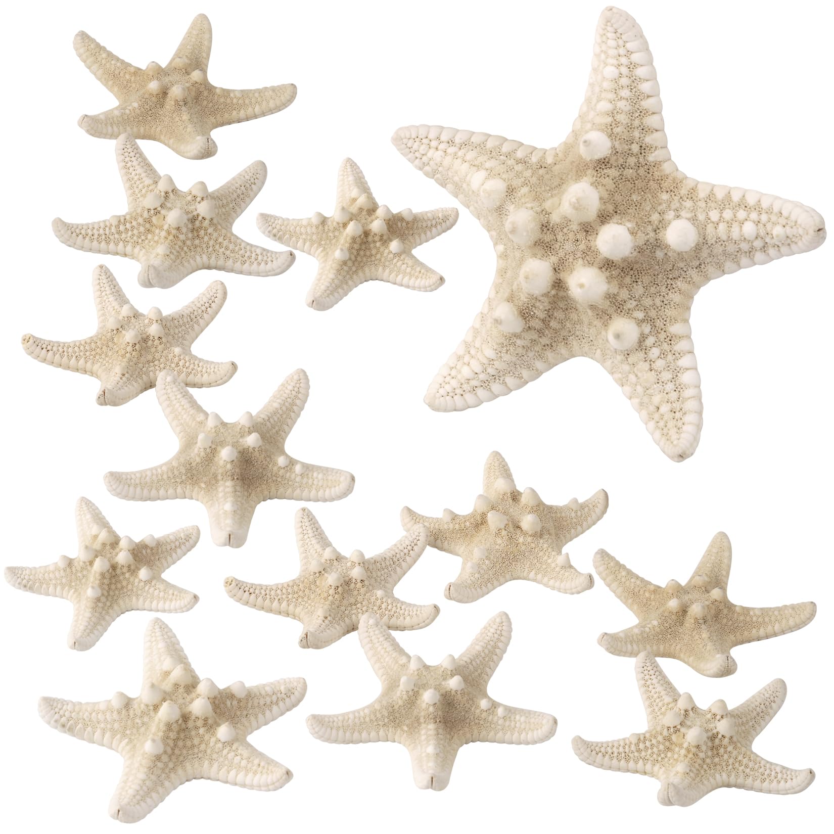 PPCLION 12 PCS Natural Starfish 3-4" for Crafts Making Beach Theme Party Wedding Decoration Home Wall Decor Christmas Ornaments
